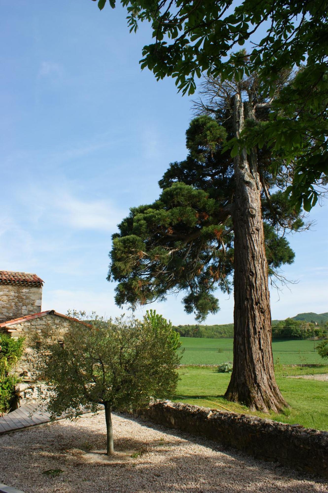 Le Prieure Des Sources Hotell La Répara Exteriör bild